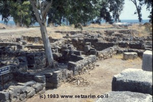 Main St., viewed from the Beit K'nesset, K'phar Nakhum (Capernaum)